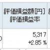 含み益5,317円。実益＋13円の株トレード。ちっちゃ！